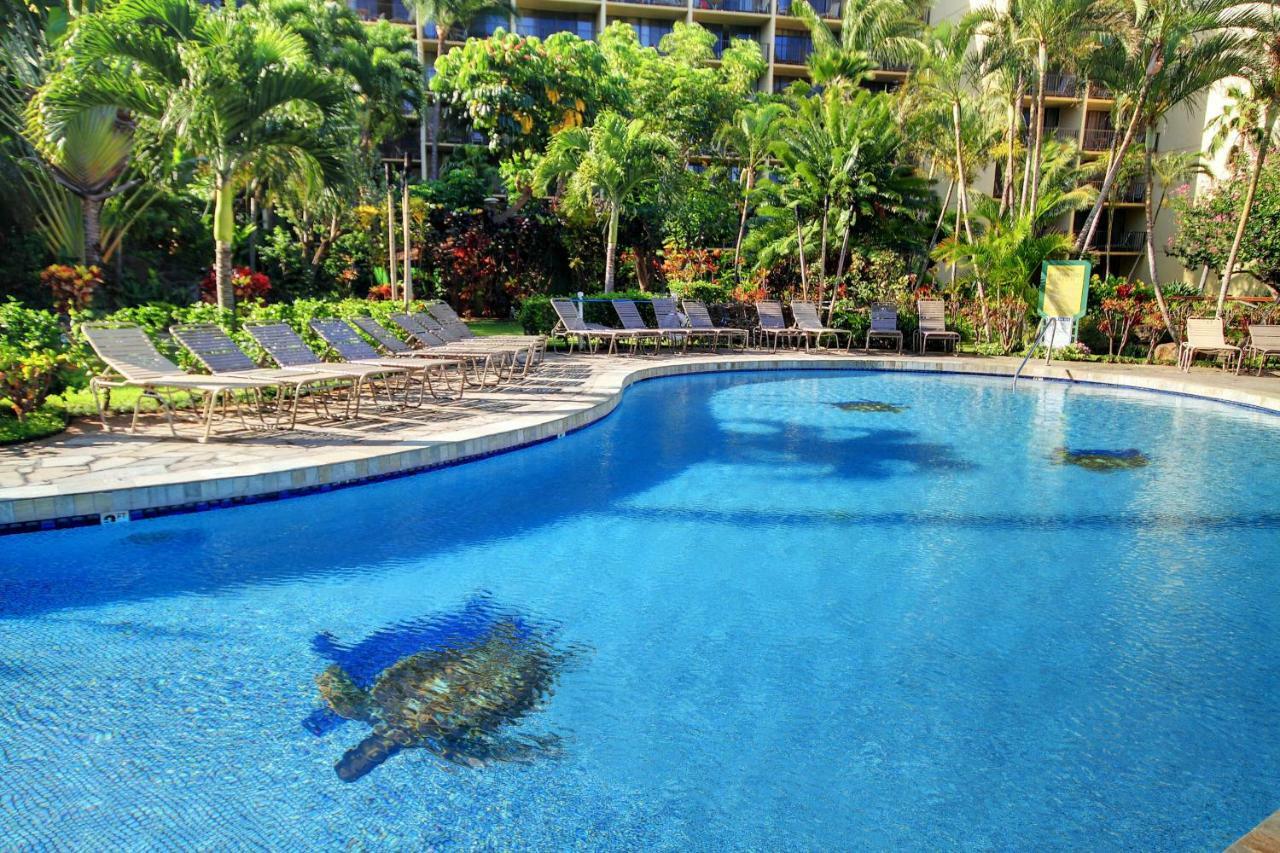 Kaanapali Shores 706 Εξωτερικό φωτογραφία